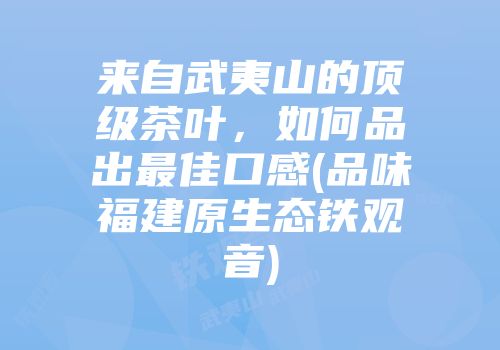 来自武夷山的顶级茶叶，如何品出最佳口感(品味福建原生态铁观音)