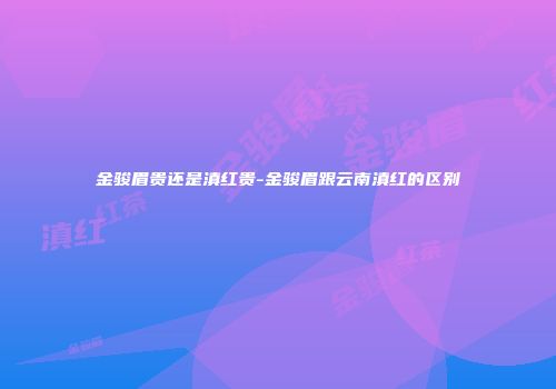 金骏眉贵还是滇红贵-金骏眉跟云南滇红的区别