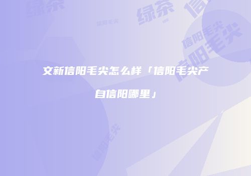 文新信阳毛尖怎么样「信阳毛尖产自信阳哪里」