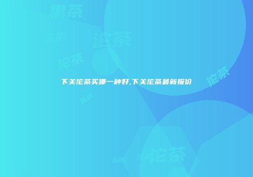 下关沱茶买哪一种好,下关沱茶最新报价