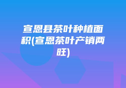 宣恩县茶叶种植面积(宣恩茶叶产销两旺)