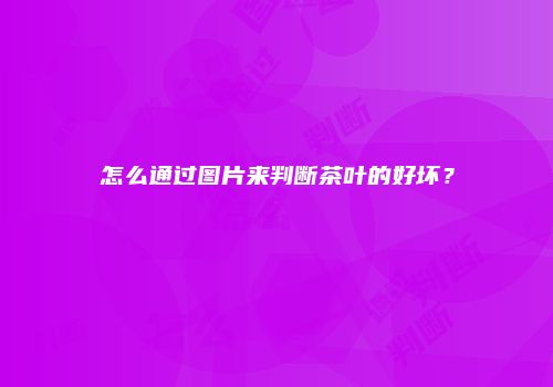 怎么通过图片来判断茶叶的好坏？