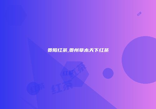 贵阳红茶,贵州草木天下红茶