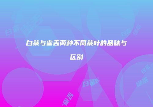 白茶与雀舌两种不同茶叶的品味与区别