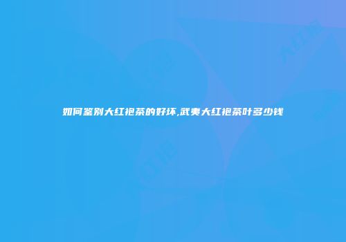 如何鉴别大红袍茶的好坏,武夷大红袍茶叶多少钱