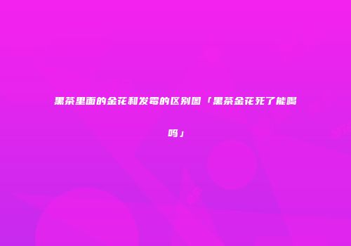 黑茶里面的金花和发霉的区别图「黑茶金花死了能喝吗」