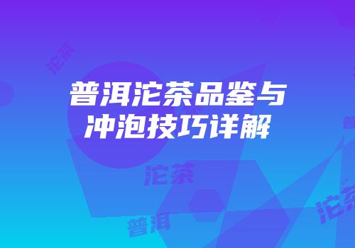 普洱沱茶品鉴与冲泡技巧详解