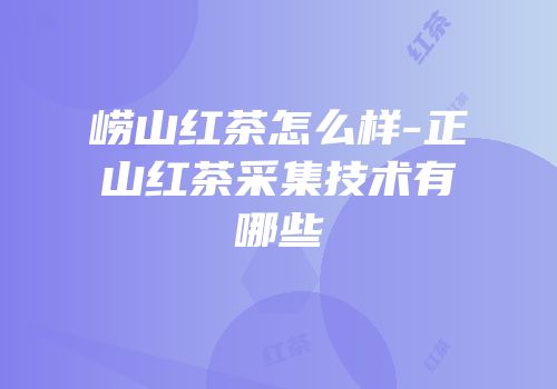 崂山红茶怎么样-正山红茶采集技术有哪些