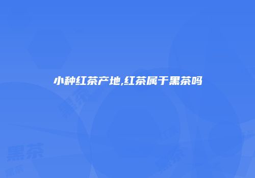 小种红茶产地,红茶属于黑茶吗