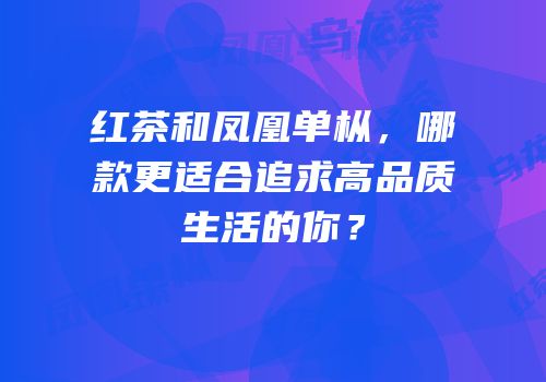 红茶和凤凰单枞，哪款更适合追求高品质生活的你？
