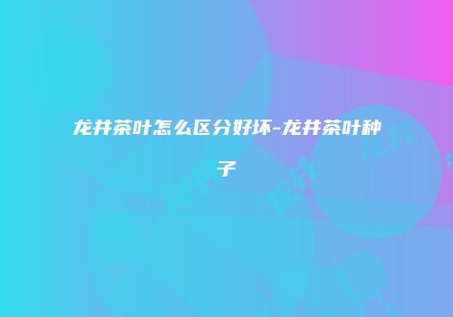 龙井茶叶怎么区分好坏-龙井茶叶种子