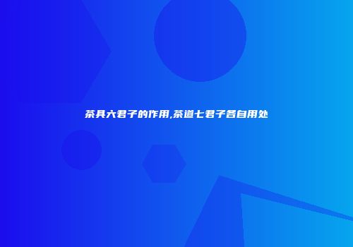 茶具六君子的作用,茶道七君子各自用处