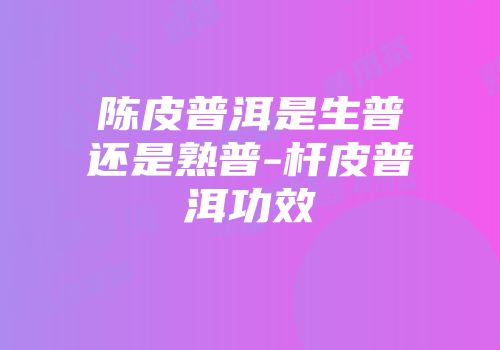 陈皮普洱是生普还是熟普-杆皮普洱功效
