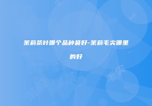 茉莉茶叶哪个品种最好-茉莉毛尖哪里的好
