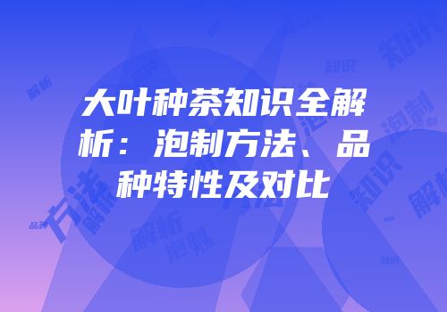 大叶种茶知识全解析：泡制方法、品种特性及对比