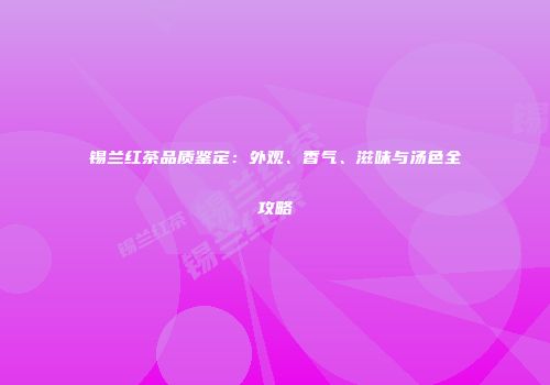 锡兰红茶品质鉴定：外观、香气、滋味与汤色全攻略