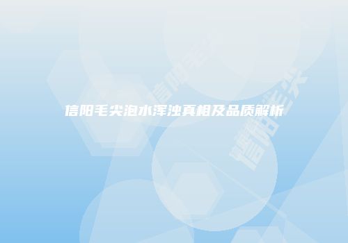 信阳毛尖泡水浑浊真相及品质解析