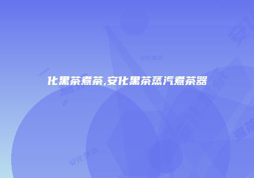 化黑茶煮茶,安化黑茶蒸汽煮茶器