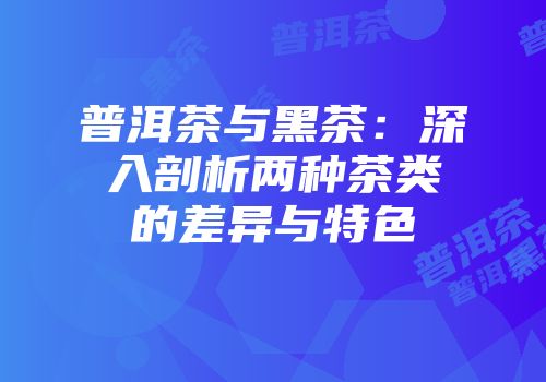 普洱茶与黑茶：深入剖析两种茶类的差异与特色