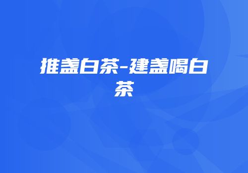 推盏白茶-建盏喝白茶