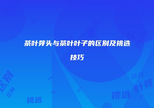 茶叶芽头与茶叶叶子的区别及挑选技巧
