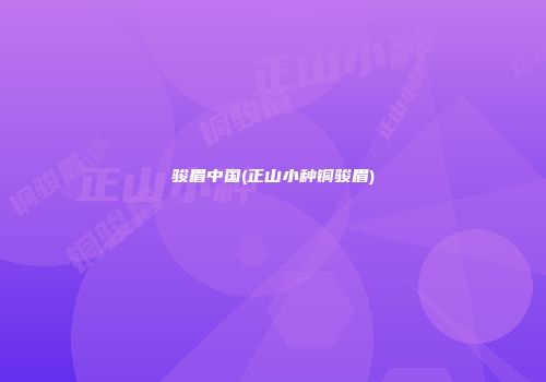 骏眉中国(正山小种铜骏眉)