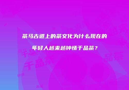 茶马古道上的茶文化为什么现在的年轻人越来越钟情于品茶？