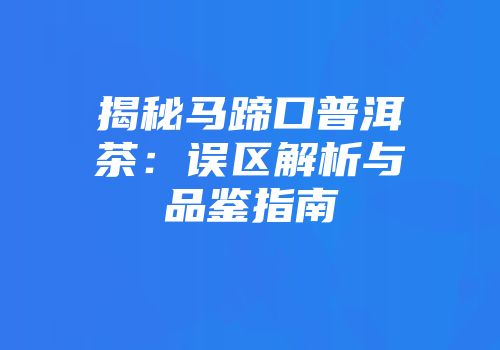 揭秘马蹄口普洱茶：误区解析与品鉴指南