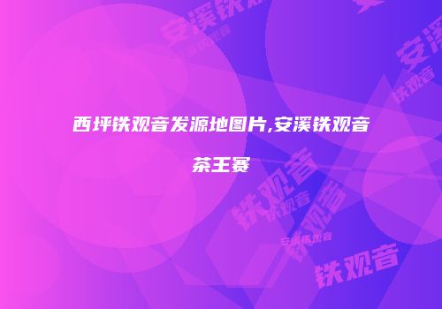 西坪铁观音发源地图片,安溪铁观音茶王赛