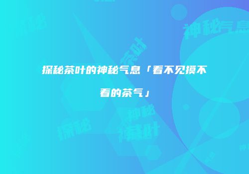 探秘茶叶的神秘气息「看不见摸不着的茶气」