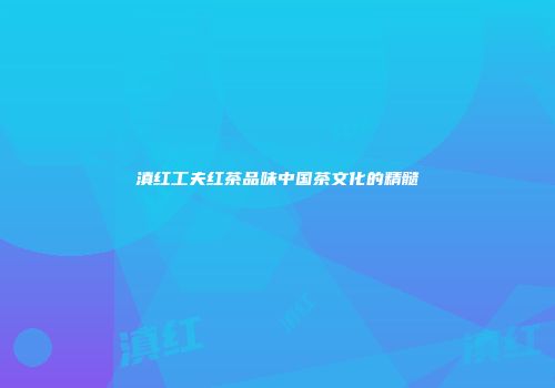 滇红工夫红茶品味中国茶文化的精髓