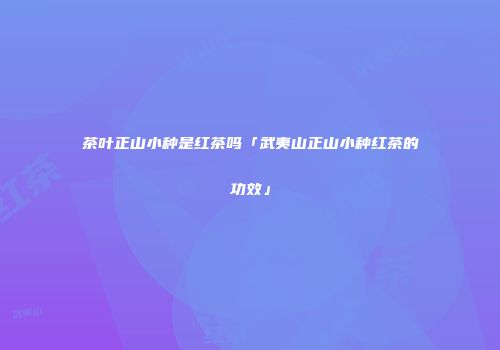 茶叶正山小种是红茶吗「武夷山正山小种红茶的功效」