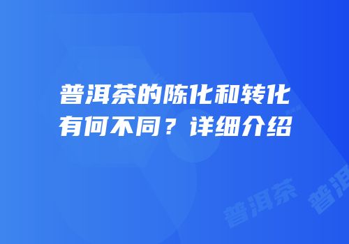 普洱茶的陈化和转化有何不同？详细介绍