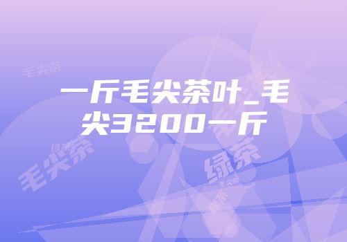 一斤毛尖茶叶_毛尖3200一斤