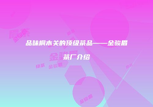 品味桐木关的顶级茶品——金骏眉茶厂介绍