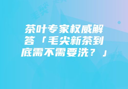茶叶专家权威解答「毛尖新茶到底需不需要洗？」