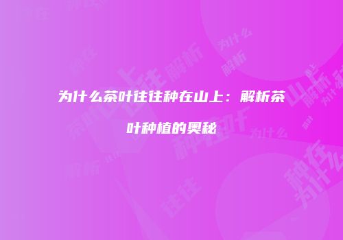 为什么茶叶往往种在山上：解析茶叶种植的奥秘
