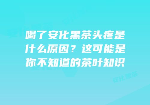 喝了安化黑茶头疼是什么原因？这可能是你不知道的茶叶知识