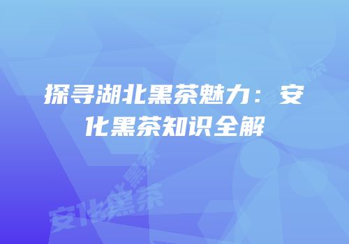 探寻湖北黑茶魅力：安化黑茶知识全解