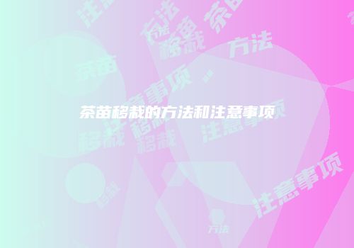 茶苗移栽的方法和注意事项