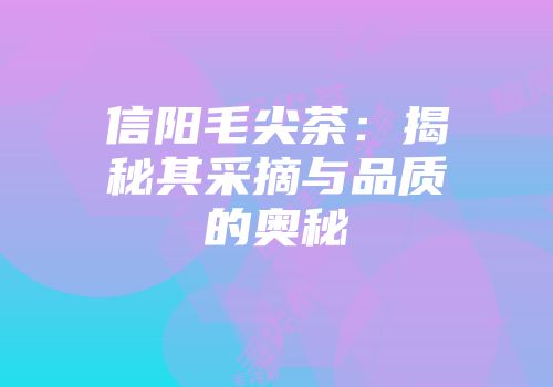 信阳毛尖茶：揭秘其采摘与品质的奥秘