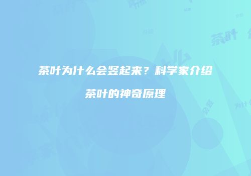 茶叶为什么会竖起来？科学家介绍茶叶的神奇原理