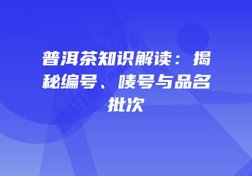 普洱茶知识解读：揭秘编号、唛号与品名批次