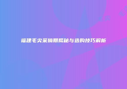 福建毛尖采摘期揭秘与选购技巧解析