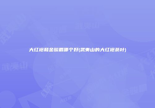 大红袍和金骏眉哪个好(武夷山的大红袍茶叶)