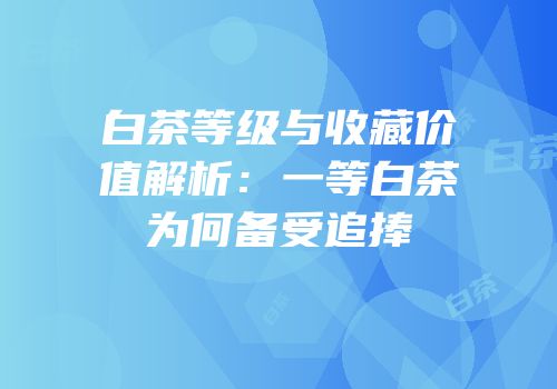 白茶等级与收藏价值解析：一等白茶为何备受追捧