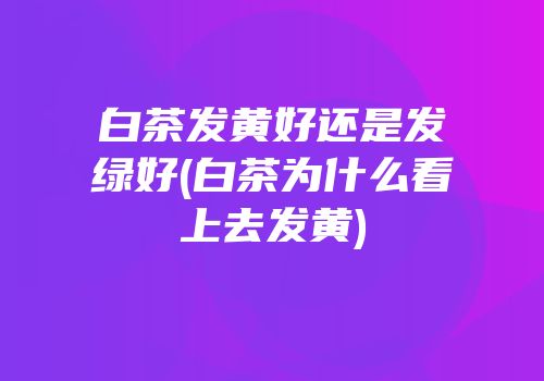 白茶发黄好还是发绿好(白茶为什么看上去发黄)