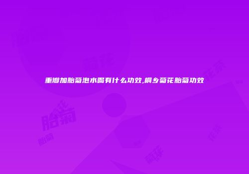 重瓣加胎菊泡水喝有什么功效,桐乡菊花胎菊功效