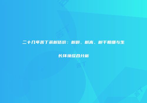 二十几年苦丁茶树估价：树龄、树高、树干粗细与生长环境综合分析
