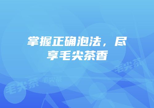 掌握正确泡法，尽享毛尖茶香